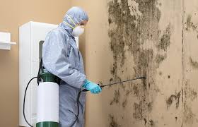 Best Commercial Mold Inspection  in Lyons, WI